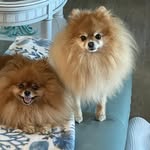 Sherrie Lynne Calhoun - @sherrielcalhoun - Instagram