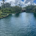 Sherry Calhoun - @the_simplisticbeauty - Instagram