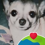 Sherrie Weinel-case - @weinelcase - Instagram