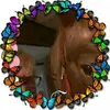 Sherrie Weinel-case - @sherrieweinel-cas - TikTok