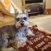 Sherie Danner - Facebook