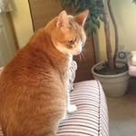Sherri Daugherty Young - @sherriyoung5486 - Instagram