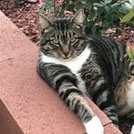 Sherry Edmonds Bragg - @edmondsbragg - Instagram