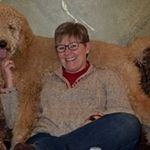 Sherri Erickson - @sherri.erickson1 - Instagram