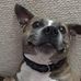 Sherrie Farley - Facebook