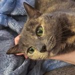 Sherry Farley - @sherryf727 - Instagram