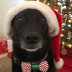 Sherry Farley Courter - @sherrynwy - Instagram