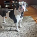 Sherry Hargis Farley - @farley9198 - Instagram
