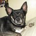 Sherry Phillips Harmon - Facebook