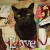 Sherri Harrison980 - @sherriharrison980 - TikTok