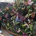Sherrie Hein - Facebook