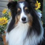 Sherrie Bosley Howe - @howe.sherrie - Instagram