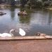 Sherrie Howe - Facebook