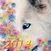 Sherrie Howe - Facebook