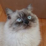 Sherri Inman - @sherriinman6 - Instagram