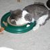 Sherrie L. Keith - Facebook