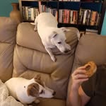 Sherry Knowles - @syknowles59 - Instagram