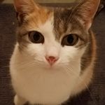 sherri lyons - @sherri.lyons333 - Instagram