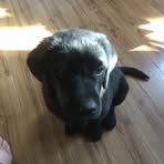Sherry Mathieson - Facebook