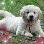 Sherrie McDaniel Altic - @sh.errie6749 - Instagram