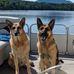 Sheree McNulty - Facebook