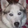 Sherri Painter - @sherripainter14 - TikTok