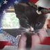 Sherrie Painter - Facebook