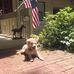 Sheri Parrish - Facebook