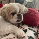 Sherrie Patterson Earwood - @sherrieearwood - Instagram