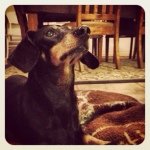 Sherrie Smith Patterson - @jeffsherrpatt - Instagram
