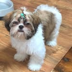 Sherri Powers - @sherri.powers1 - Instagram