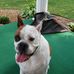 Sherry Reece - Facebook