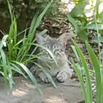 Sherry Schmidt - @sherry.schmidt.370 - Instagram