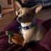Sherrie Shoemaker - Facebook