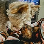 Sherri Short - @sherri.short.98 - Instagram