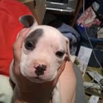 Sherrie Stephens - @sherrie.stephens.399 - Instagram