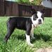Sherrie Stratton - Facebook