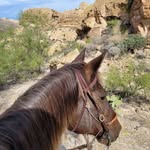 Sherri Townsend - @rockinhorsegal - Instagram