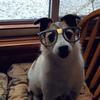 sherrieevincent - @sherrieevincent - TikTok