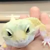 Sherrie Wallace - @sherrie.wallace - TikTok