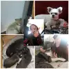 Sherri.Weeks - @raskzyam2bp - TikTok