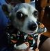 Sherry Weeks - Facebook