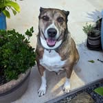 Sherry Weeks - @42caswan - Instagram