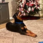 Sherry Weeks Murphy - @sherrylmurphy74 - Instagram