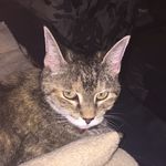 Sherry Wolf - @swolf001 - Instagram
