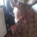 Sherrie Wright - Facebook