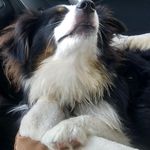 Sherrill Johnson - @slj1508 - Instagram