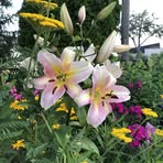 Sherill Keller - Facebook