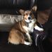 Sherrill Miller - Facebook