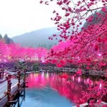 Sherrill R. Smith - @sherrillsmithff - Instagram